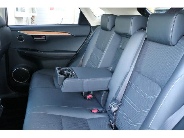 TOYOTA LEXUS NX300H 2018 Image 31