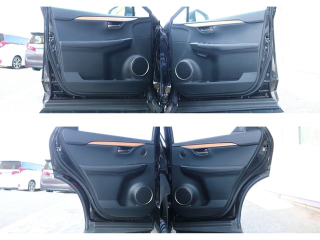 TOYOTA LEXUS NX300H 2018 Image 31