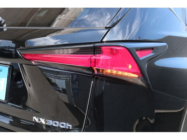 TOYOTA LEXUS NX300H 2018 Image 31