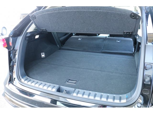 TOYOTA LEXUS NX300H 2018 Image 31