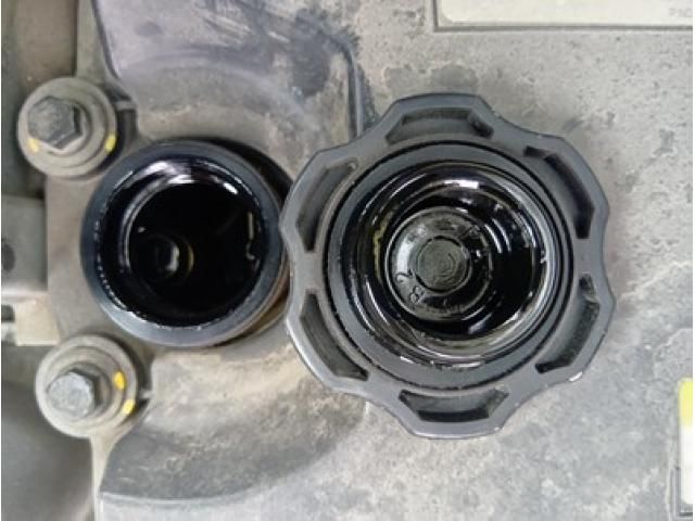 ISUZU ELF 2021 Image 31