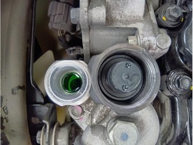 ISUZU ELF 2021 Image 31