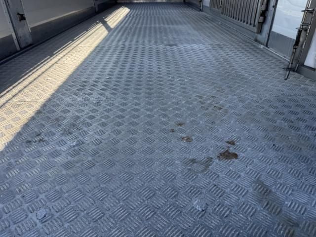 MITSUBISHI FUSOU FIGHTER 2019 Image 31