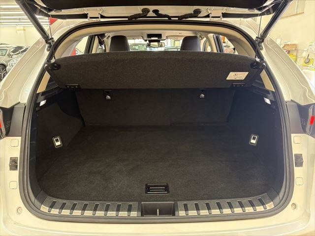 TOYOTA LEXUS NX300H 2020 Image 31