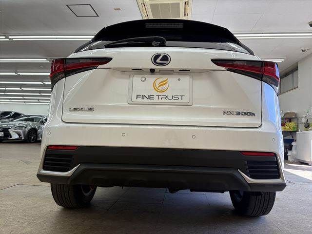 TOYOTA LEXUS NX300H 2020 Image 31