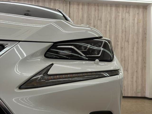 TOYOTA LEXUS NX300H 2020 Image 31