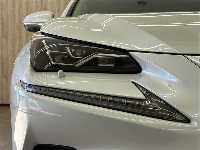 TOYOTA LEXUS NX300H 2020 Image 31