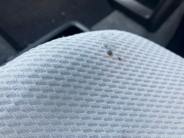 SUZUKI ALTO VAN 2018 Image 31