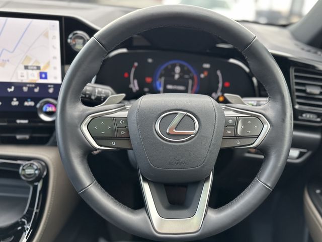 TOYOTA LEXUS NX350 AWD 2024 Image 31