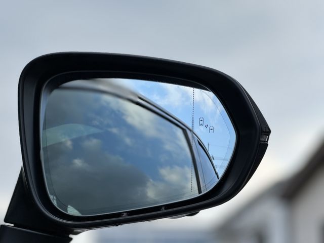 TOYOTA LEXUS NX350 AWD 2024 Image 31