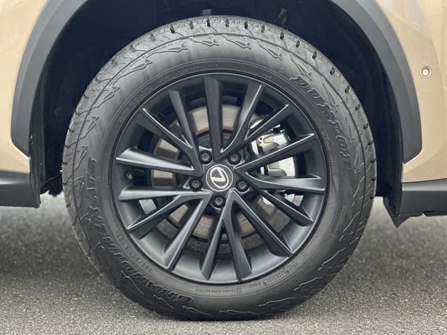 TOYOTA LEXUS NX350 AWD 2024 Image 31