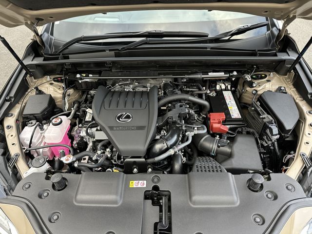 TOYOTA LEXUS NX350 AWD 2024 Image 31