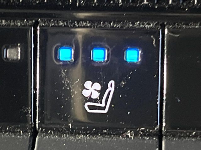 TOYOTA LANDCRUISER 250 2024 Image 31