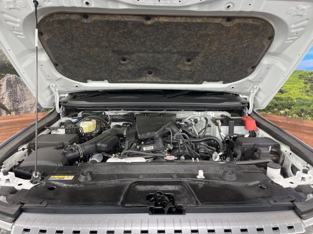 TOYOTA LANDCRUISER 250 2024 Image 31