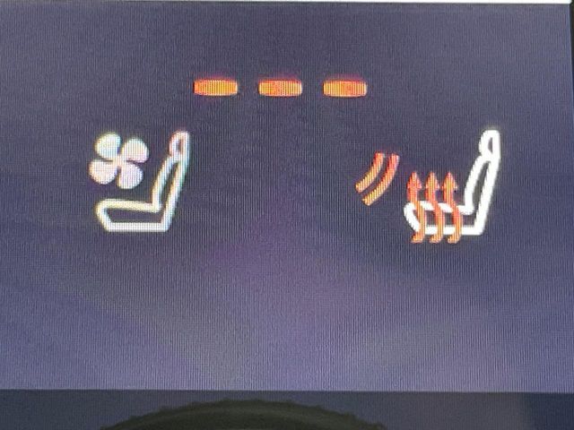 TOYOTA LEXUS RX500H 2023 Image 31