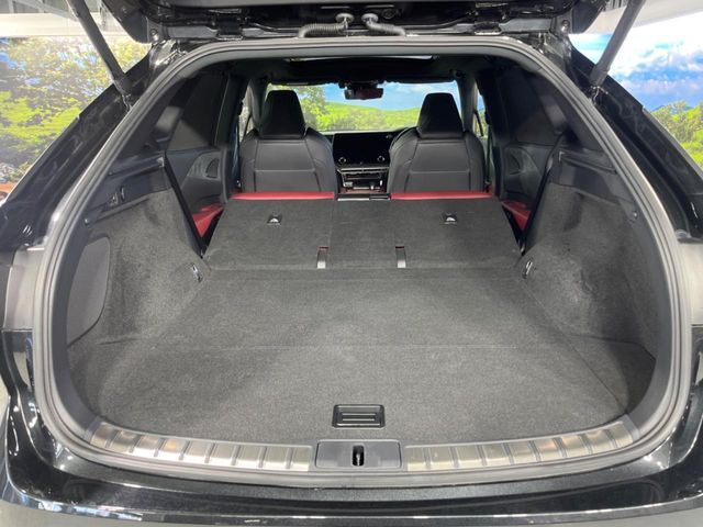 TOYOTA LEXUS RX500H 2023 Image 31