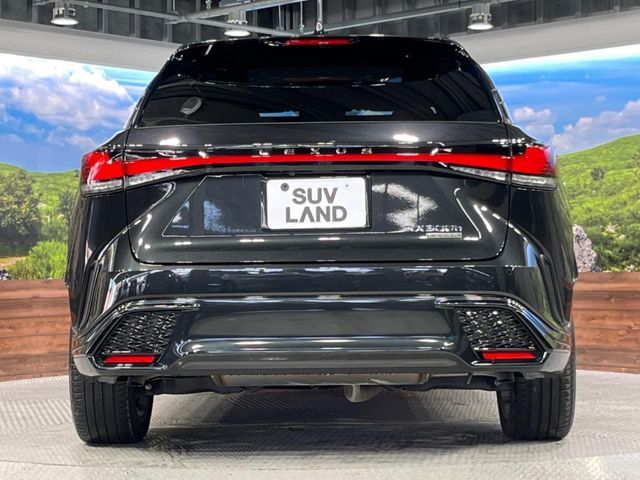 TOYOTA LEXUS RX500H 2023 Image 31