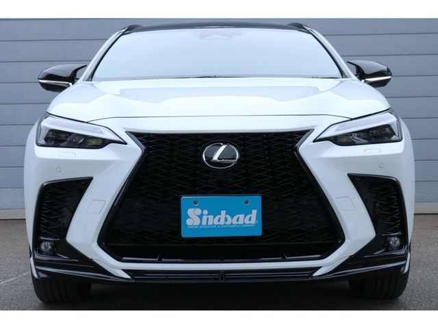TOYOTA LEXUS NX350H 2023 Image 31