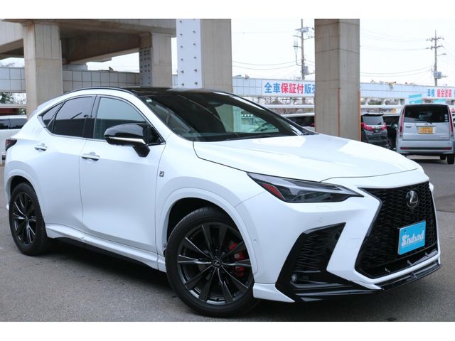 TOYOTA LEXUS NX350H 2023 Image 31