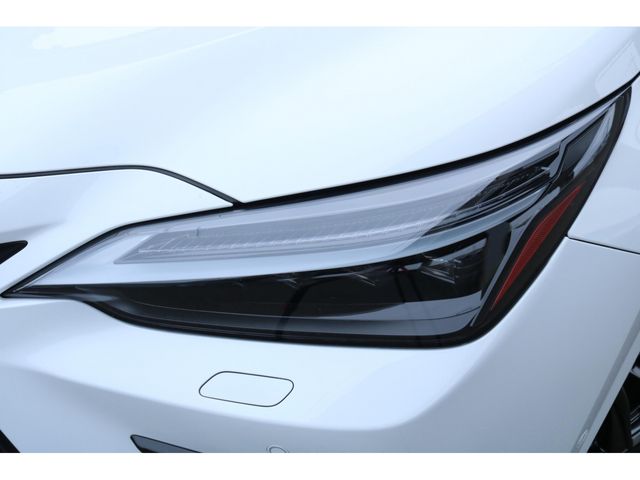 TOYOTA LEXUS NX350H 2023 Image 31