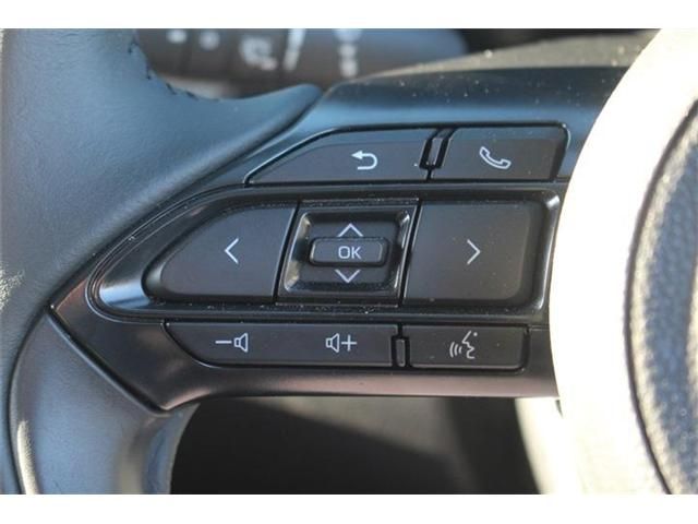 TOYOTA SIENTA HYBRID 2025 Image 31