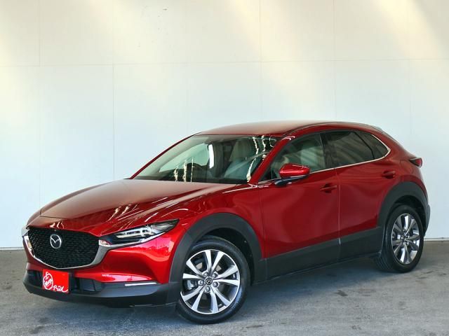 MAZDA CX-30 2021 Image 31