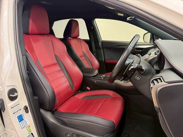 TOYOTA LEXUS NX300 2019 Image 31