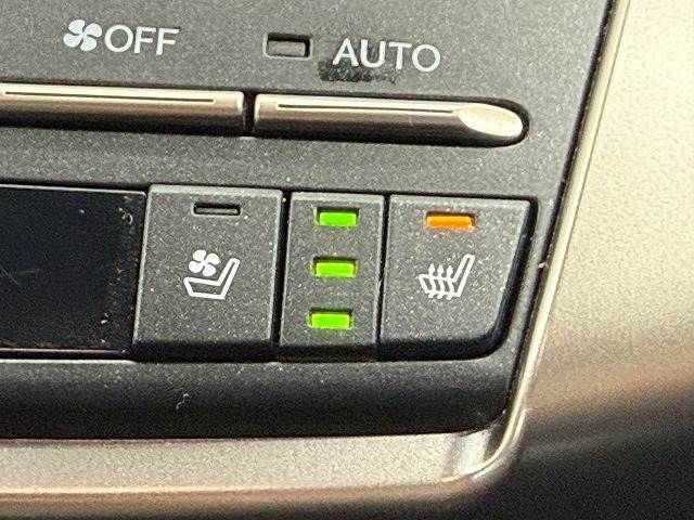 TOYOTA LEXUS NX300 2019 Image 31