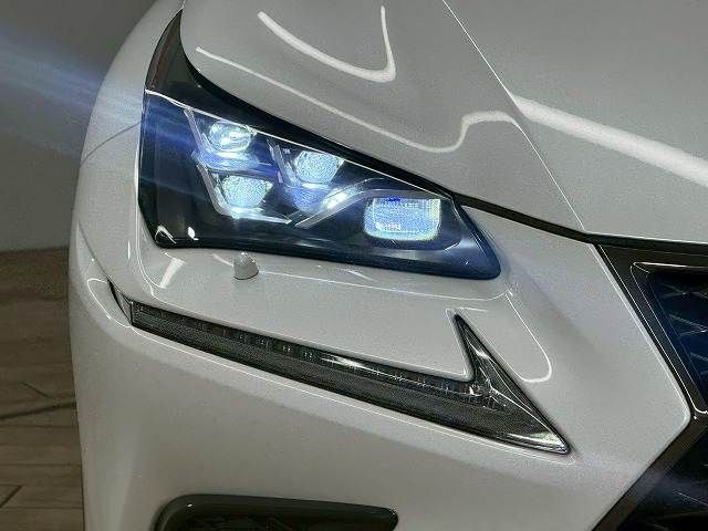 TOYOTA LEXUS NX300 2019 Image 31