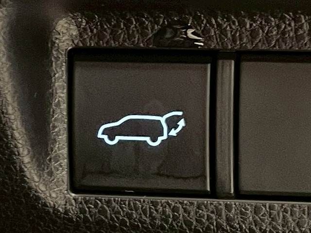 TOYOTA RAV4 4WD 2021 Image 31