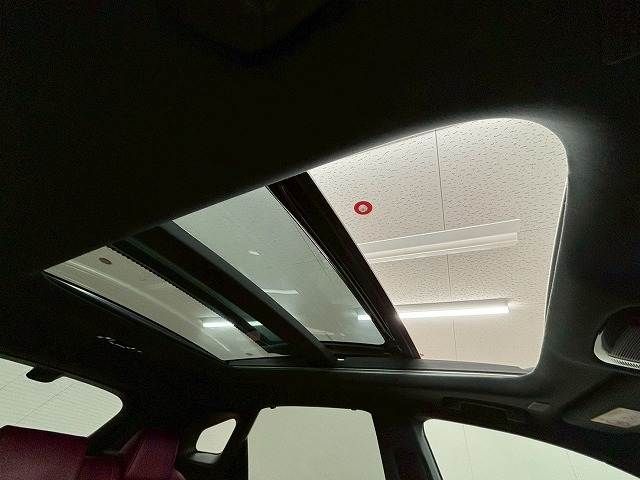 TOYOTA LEXUS RX500H 2023 Image 31