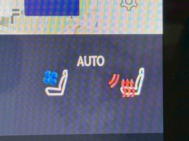 TOYOTA LEXUS RX500H 2023 Image 31