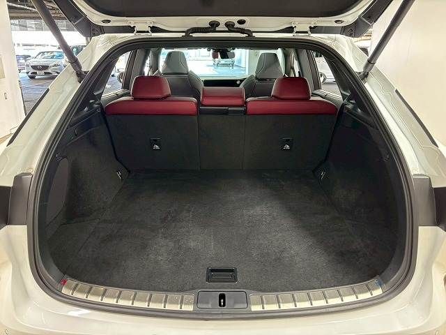 TOYOTA LEXUS RX500H 2023 Image 31