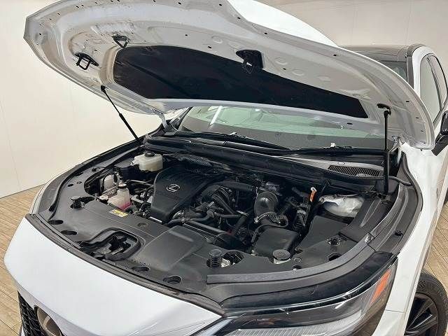 TOYOTA LEXUS RX500H 2023 Image 31