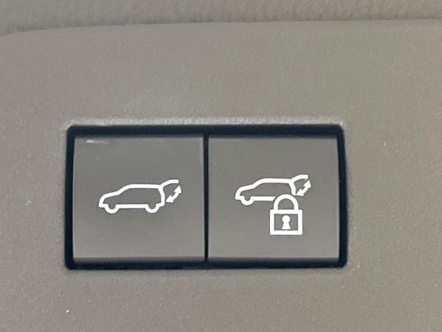 TOYOTA LANDCRUISER 250 2024 Image 31