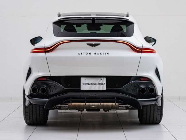 ASTON MARTIN SUV 2023 Image 31