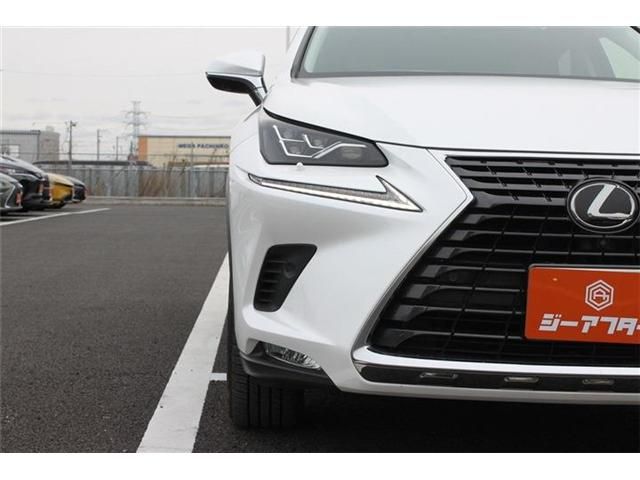 TOYOTA LEXUS NX300 2017 Image 31