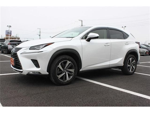 TOYOTA LEXUS NX300 2017 Image 31