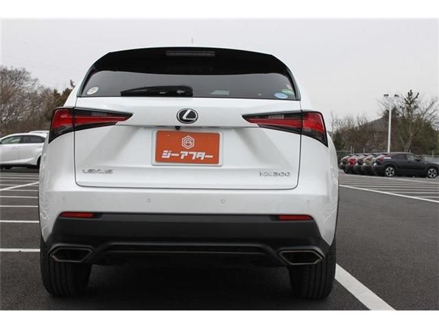 TOYOTA LEXUS NX300 2017 Image 31