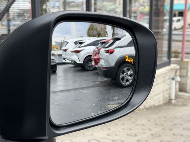 TOYOTA RAIZE HYBRID 2026 Image 31