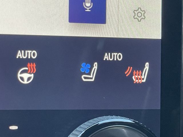 TOYOTA LEXUS RX300 AWD 2023 Image 31