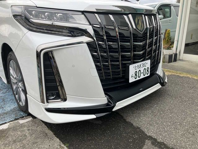 TOYOTA ALPHARD 2021 Image 31