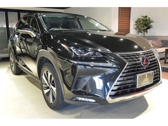 TOYOTA LEXUS NX300H 2019 Image 31
