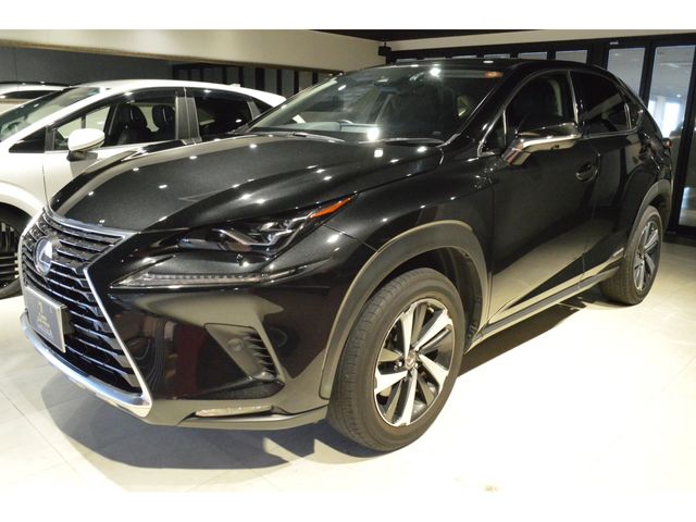 TOYOTA LEXUS NX300H 2019 Image 31