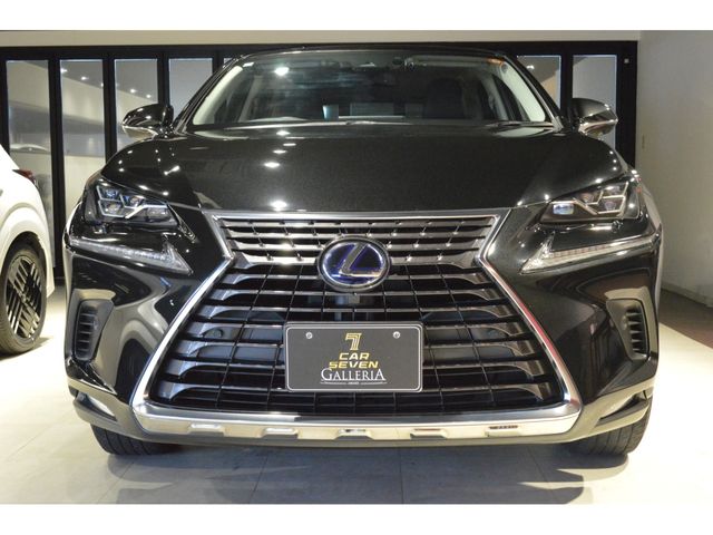 TOYOTA LEXUS NX300H 2019 Image 31