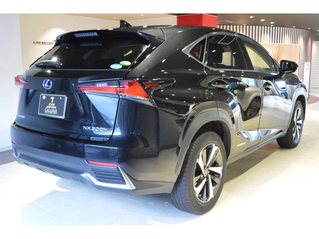 TOYOTA LEXUS NX300H 2019 Image 31