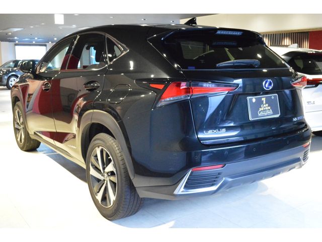 TOYOTA LEXUS NX300H 2019 Image 31