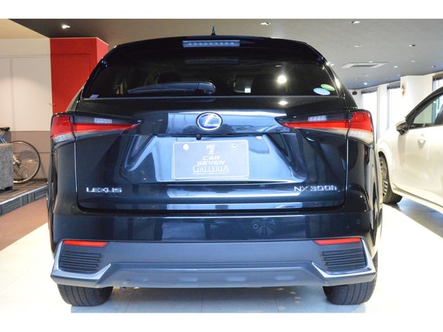 TOYOTA LEXUS NX300H 2019 Image 31