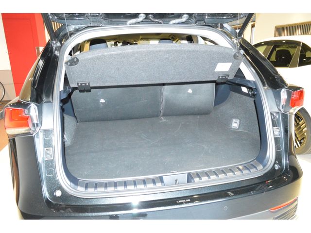 TOYOTA LEXUS NX300H 2019 Image 31