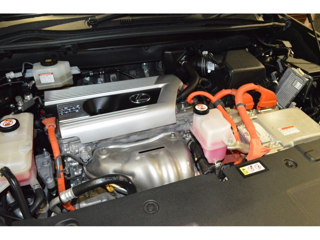 TOYOTA LEXUS NX300H 2019 Image 31